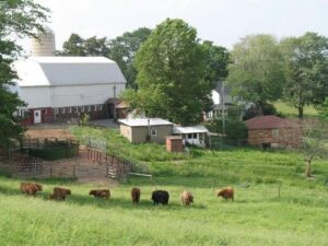 sugar hill farm History